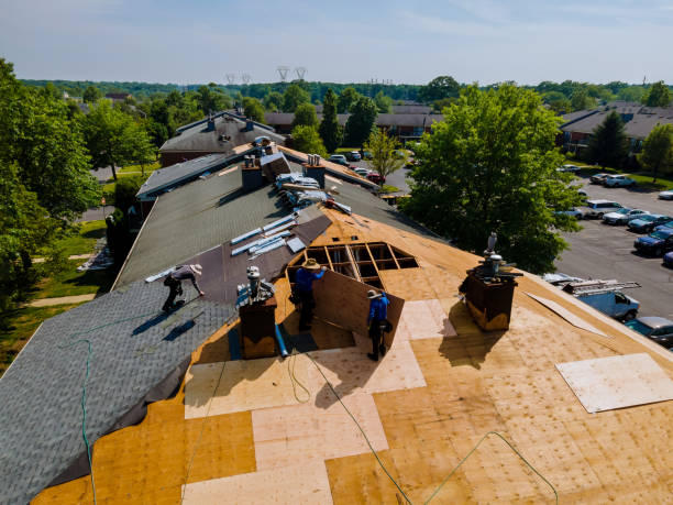 Quick and Trustworthy Emergency Roof Repair Services in Alamo, TN