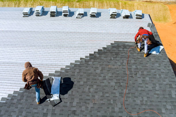 Best Roof Gutter Cleaning  in Alamo, TN