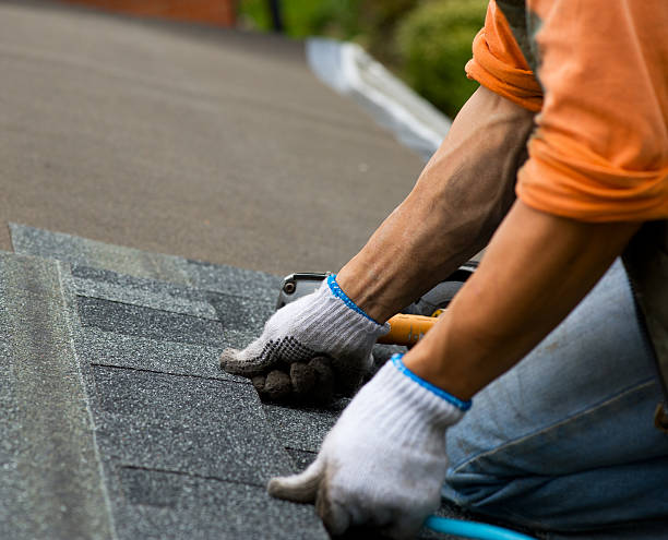 Best Flat Roof Repair Services  in Alamo, TN