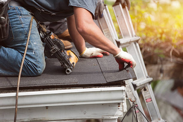 Best Gutter Installation and Roofing  in Alamo, TN