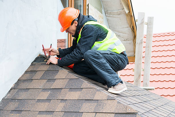 Best Residential Roof Replacement  in Alamo, TN