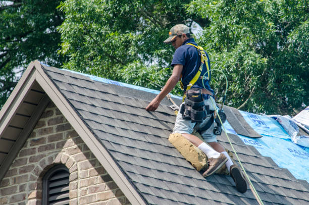 Reliable Alamo, TN Roofing Contractor Solutions